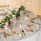 Blush Floral Paper Dessert Plates 24 Count Elegant Bridal Shower Party Plates 7 1/4 Inch